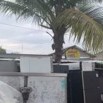 去四号地路上 牢房斜对面 ，卖二手电器的老缅电。-撸彩社区-撸彩论坛-白菜论坛